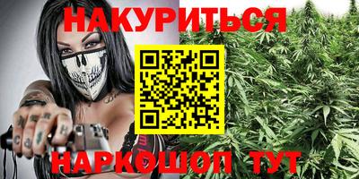 прущие крисы Аргун