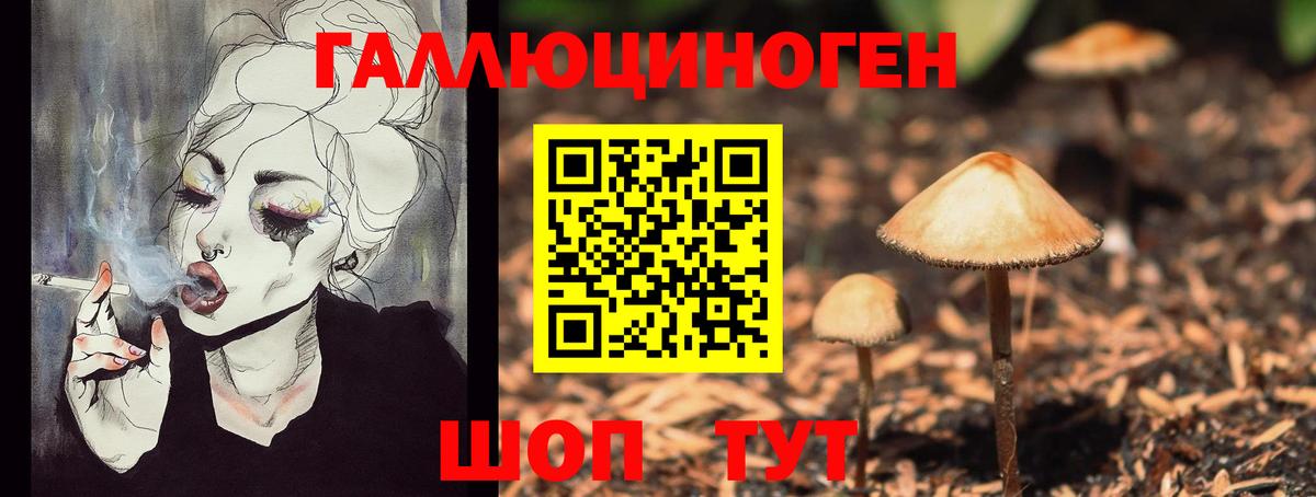 Псилоцибиновые грибы Psilocybe Артёмовский